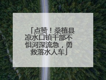 点赞！桑植县凉水口镇干部不惧河深流急，勇救落水人车