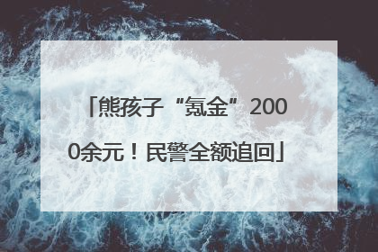熊孩子“氪金”2000余元！民警全额追回