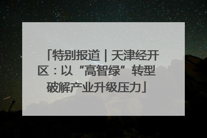 特别报道｜天津经开区：以“高智绿”转型破解产业升级压力