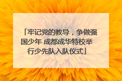 牢记党的教导，争做强国少年 成都成华特校举行少先队入队仪式