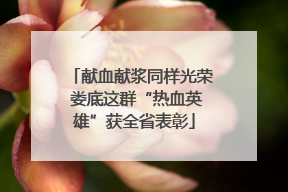 献血献浆同样光荣 娄底这群“热血英雄”获全省表彰