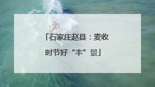 石家庄赵县：麦收时节好“丰”景