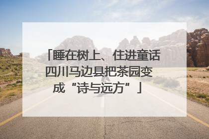 睡在树上、住进童话 四川马边县把茶园变成“诗与远方”