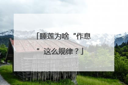 睡莲为啥“作息”这么规律？