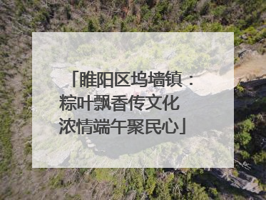 睢阳区坞墙镇：粽叶飘香传文化 浓情端午聚民心