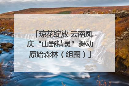 琼花绽放 云南凤庆“山野精灵”舞动原始森林（组图）