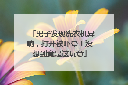 男子发现洗衣机异响，打开被吓晕！没想到竟是这玩意