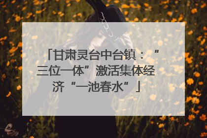 甘肃灵台中台镇：“三位一体”激活集体经济“一池春水”
