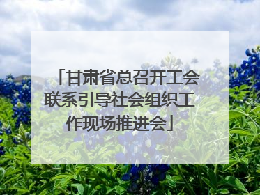 甘肃省总召开工会联系引导社会组织工作现场推进会