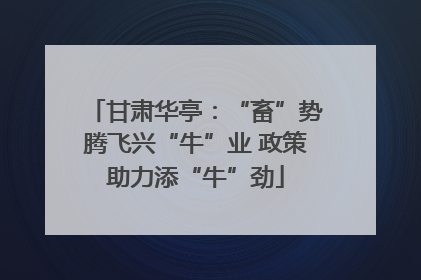 甘肃华亭：“畜”势腾飞兴“牛”业 政策助力添“牛”劲