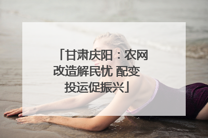 甘肃庆阳：农网改造解民忧 配变投运促振兴