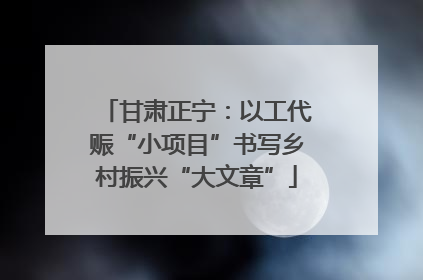 甘肃正宁：以工代赈“小项目”书写乡村振兴“大文章”