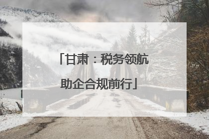 甘肃：税务领航 助企合规前行