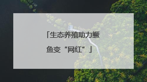 生态养殖助力鳜鱼变“网红”