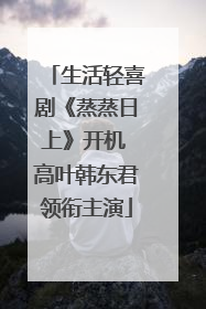 生活轻喜剧《蒸蒸日上》开机 高叶韩东君领衔主演