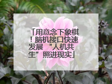 用意念下象棋！脑机接口快速发展 “人机共生”照进现实