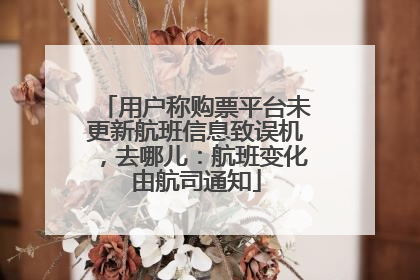 用户称购票平台未更新航班信息致误机，去哪儿：航班变化由航司通知