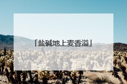 盐碱地上麦香溢