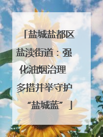 盐城盐都区盐渎街道：强化油烟治理 多措并举守护“盐城蓝”