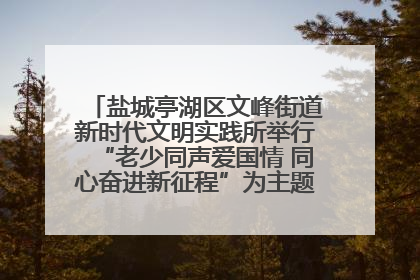 盐城亭湖区文峰街道新时代文明实践所举行“老少同声爱国情 同心奋进新征程”为主题的红色文化活动