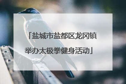 盐城市盐都区龙冈镇举办太极拳健身活动