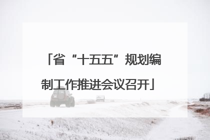 省“十五五”规划编制工作推进会议召开