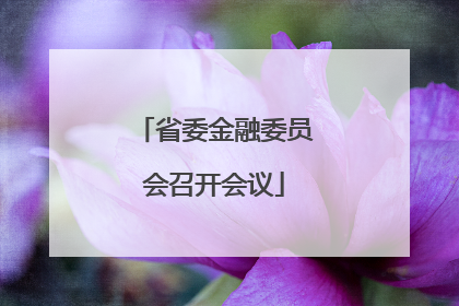 省委金融委员会召开会议