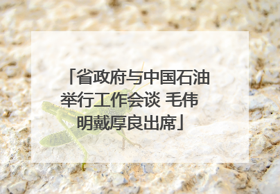 省政府与中国石油举行工作会谈 毛伟明戴厚良出席