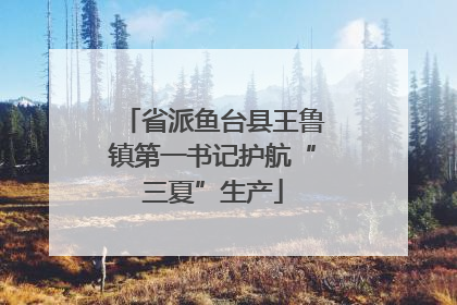 省派鱼台县王鲁镇第一书记护航“三夏”生产