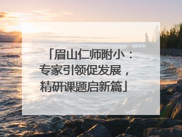 眉山仁师附小：专家引领促发展，精研课题启新篇