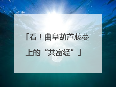看！曲阜葫芦藤蔓上的“共富经”
