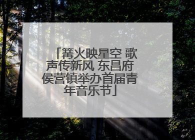篝火映星空 歌声传新风 东昌府侯营镇举办首届青年音乐节