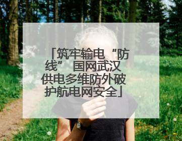 筑牢输电“防线” 国网武汉供电多维防外破护航电网安全