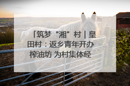 筑梦“湘”村｜皇田村：返乡青年开办榨油坊 为村集体经济“加油”