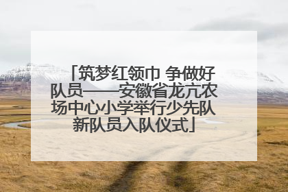 筑梦红领巾 争做好队员——安徽省龙亢农场中心小学举行少先队新队员入队仪式
