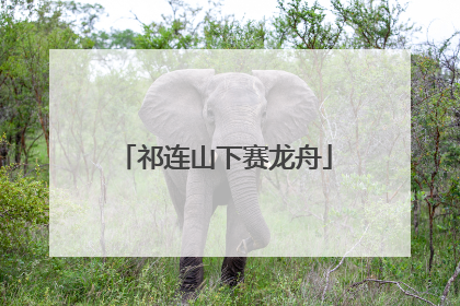 祁连山下赛龙舟