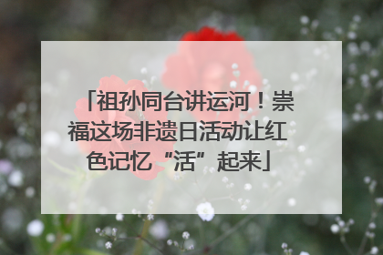 祖孙同台讲运河！崇福这场非遗日活动让红色记忆“活”起来