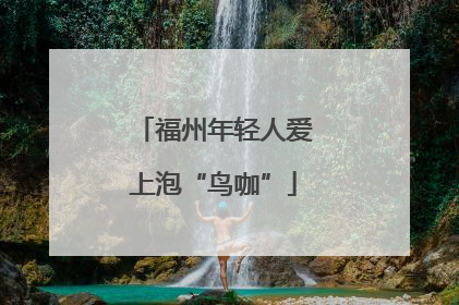 福州年轻人爱上泡“鸟咖”