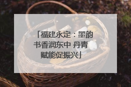 福建永定：墨韵书香润东中 丹青赋能促振兴