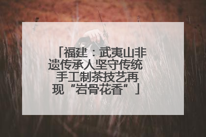 福建：武夷山非遗传承人坚守传统 手工制茶技艺再现“岩骨花香”