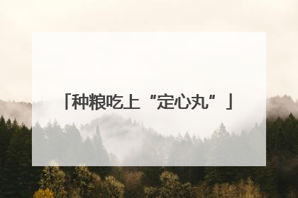 种粮吃上“定心丸”
