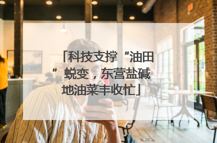 科技支撑“油田”蜕变，东营盐碱地油菜丰收忙
