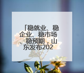 稳就业、稳企业、稳市场、稳预期，山东发布2025年第二批政策清单