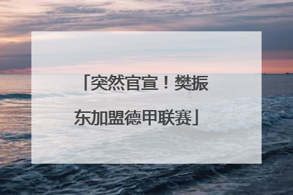 突然官宣！樊振东加盟德甲联赛