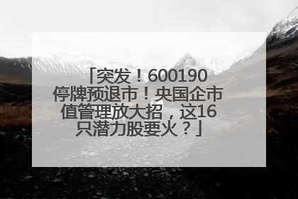 突发！600190停牌预退市！央国企市值管理放大招，这16只潜力股要火？