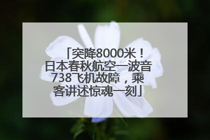突降8000米！日本春秋航空一波音738飞机故障，乘客讲述惊魂一刻