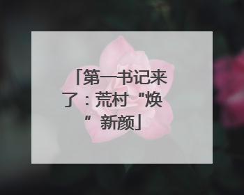 第一书记来了：荒村“焕”新颜