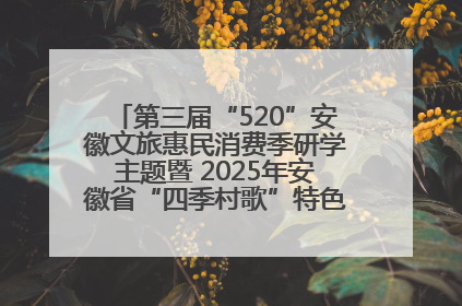 第三届“520”安徽文旅惠民消费季研学主题暨 2025年安徽省“四季村歌”特色展演燃动池州