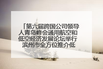 第六届跨国公司领导人青岛峰会通用航空和低空经济发展论坛举行 滨州市全方位推介低空经济发展优势