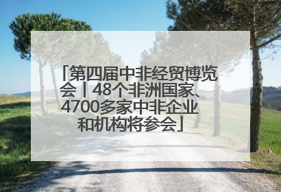 第四届中非经贸博览会丨48个非洲国家、4700多家中非企业和机构将参会